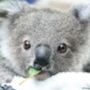 Meet your Posher, Valery